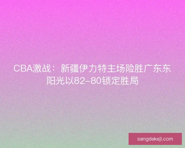 CBA激战：新疆伊力特主场险胜广东东阳光以82-80锁定胜局