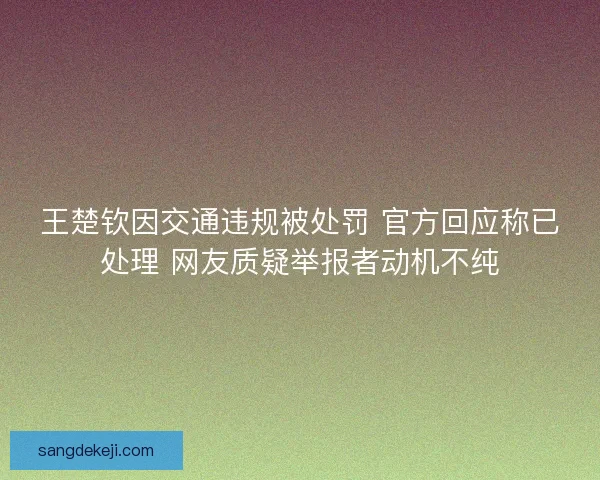 王楚钦因交通违规被处罚 官方回应称已处理 网友质疑举报者动机不纯